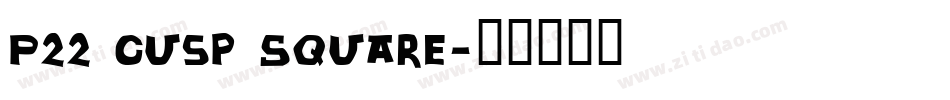 P22 Cusp Square字体转换